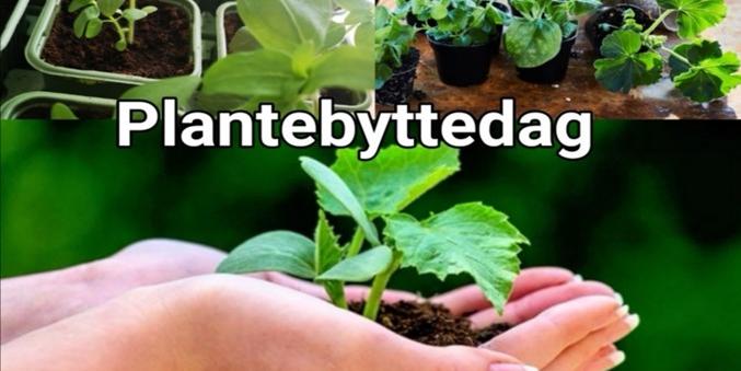 Bilde/illustrasjon for Plantebyttedag